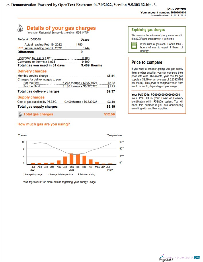 download download USA New York PSEG utility bill, Word and PDF template, 5 pages 3 PDF template PDF template